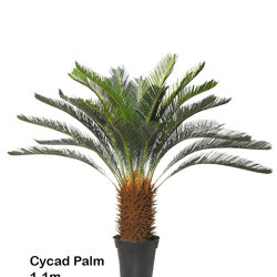 Cycad Palm 1.1m - artificial plants, flowers & trees - image 7