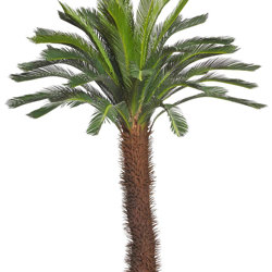 Cycad Palm 2m - artificial plants, flowers & trees - image 10