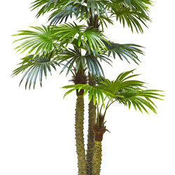 Fan Palm 2.4m [lge foliage] - artificial plants, flowers & trees - image 10