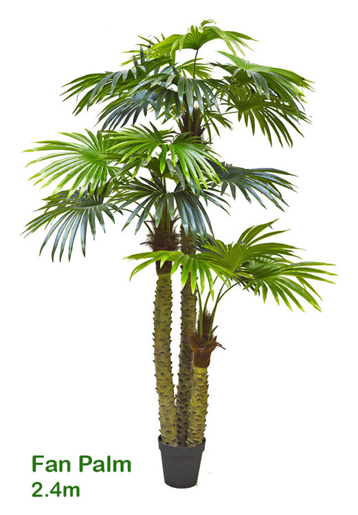 Articial Plants - Fan Palm 2.4m [lge foliage]