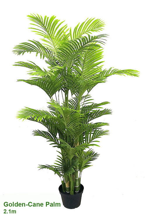 Articial Plants - Golden Cane Palm 2.1m