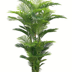 Golden Cane Palm 2.4m - artificial plants, flowers & trees - image 7
