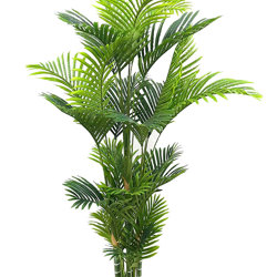 Golden Cane Palm 2.1m - artificial plants, flowers & trees - image 7