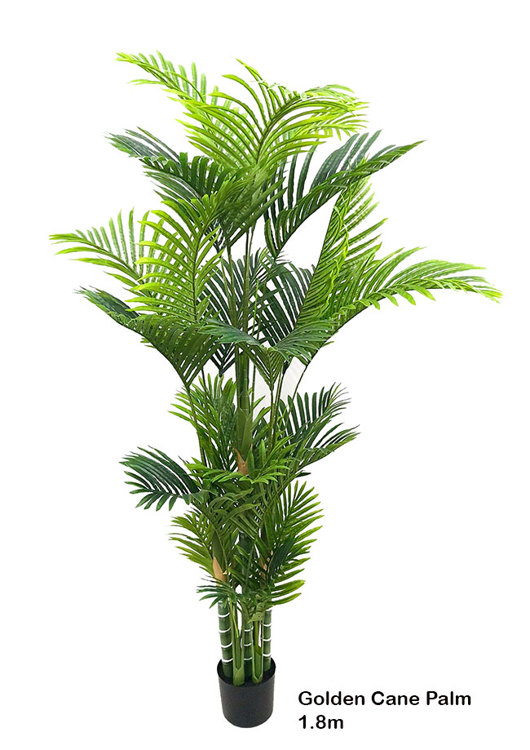 Articial Plants - Golden Cane Palm 1.8m