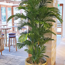 Golden Cane Palm 2.4m - artificial plants, flowers & trees - image 2