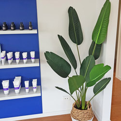 Heliconia Palms- 1.2m small - artificial plants, flowers & trees - image 5