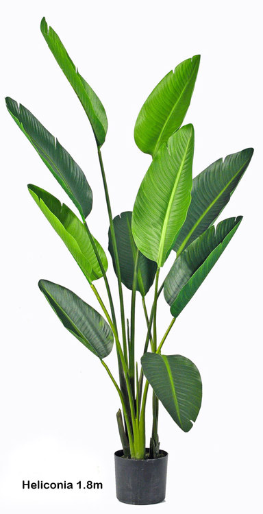 Articial Plants - Heliconia Palms- 1.8m