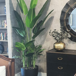 Heliconia Palms- 2.4m - artificial plants, flowers & trees - image 1