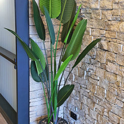 Heliconia Palms- 1.8m - artificial plants, flowers & trees - image 9