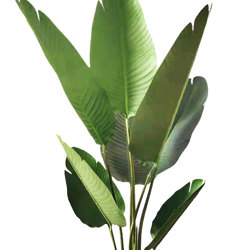 Heliconia Palms- 1.2m small - artificial plants, flowers & trees - image 9