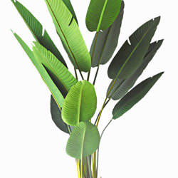 Heliconia Palms- 2.1m - artificial plants, flowers & trees - image 9