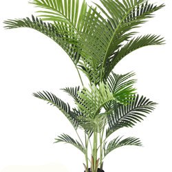 Kentia Palms 1.5m - artificial plants, flowers & trees - image 10
