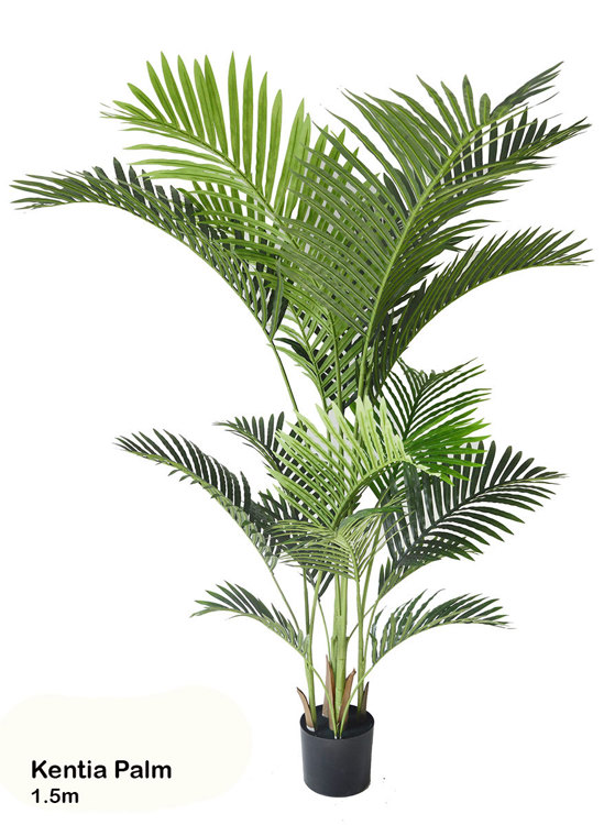 Articial Plants - Kentia Palms 1.5m