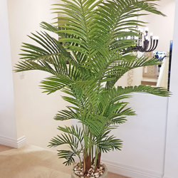 Kentia Palms 2m - artificial plants, flowers & trees - image 4