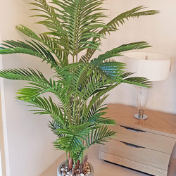 Kentia Palms 1.5m - artificial plants, flowers & trees - image 7