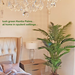 Kentia Palms 1.7m - artificial plants, flowers & trees - image 5