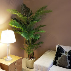 Kentia Palms 2m - artificial plants, flowers & trees - image 3