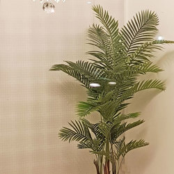 Kentia Palms 2m - artificial plants, flowers & trees - image 7