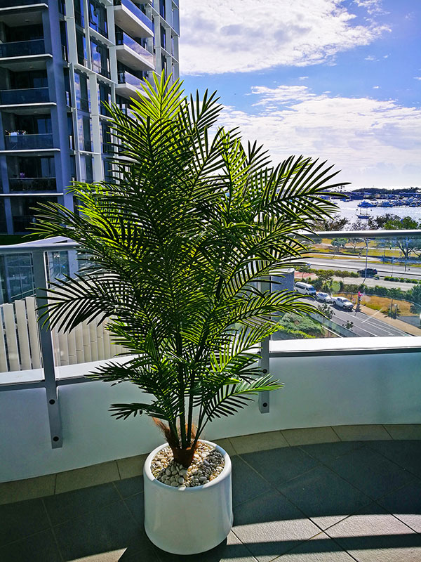 Cane Palm 1.75m-UV stable