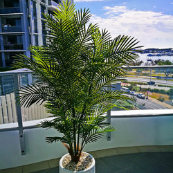 Cane Palm 1.5m delux UV stable - artificial plants, flowers & trees - image 1
