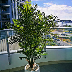 Cane Palm 1.75m-UV stable - artificial plants, flowers & trees - image 3