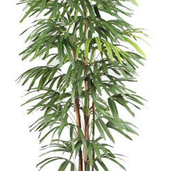 Rhapis Palms 1.5m - artificial plants, flowers & trees - image 10
