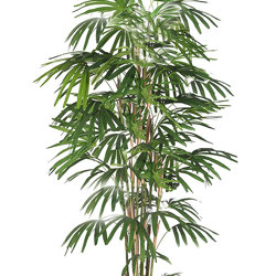 Rhapis Palms 1.8m - artificial plants, flowers & trees - image 9