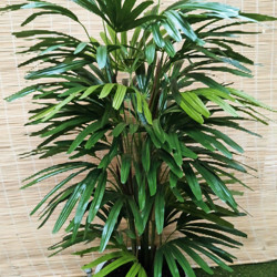 Rhapis Palms 1.3m - artificial plants, flowers & trees - image 3