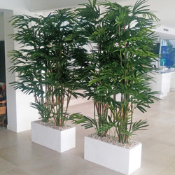 Rhapis Palms 1.5m - artificial plants, flowers & trees - image 9