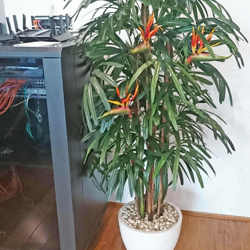Rhapis Palms 2.1m - artificial plants, flowers & trees - image 5