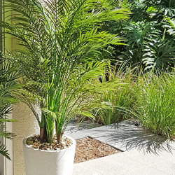 Alexander Palm 2.1m UV-treated  - artificial plants, flowers & trees - image 6
