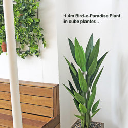 Artificial Bird of Paradise Plant 1.6m - artificial plants, flowers & trees - image 2