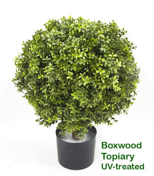 Boxwood Topiary 55cm UV-treated