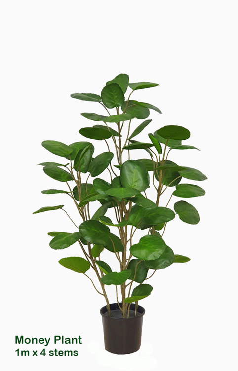 Articial Plants - Money Plant 1m