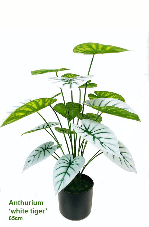 Articial Plants - Anthurium 'white-tiger'