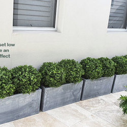 Boxwood Topiary 55cm UV - artificial plants, flowers & trees - image 7