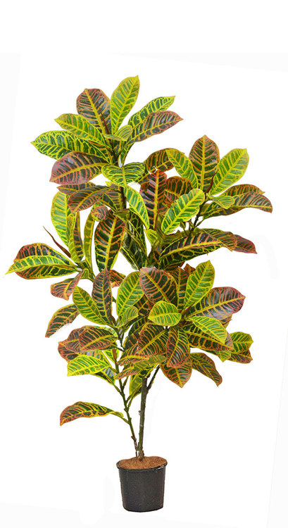 Articial Plants - Croton 1.2m