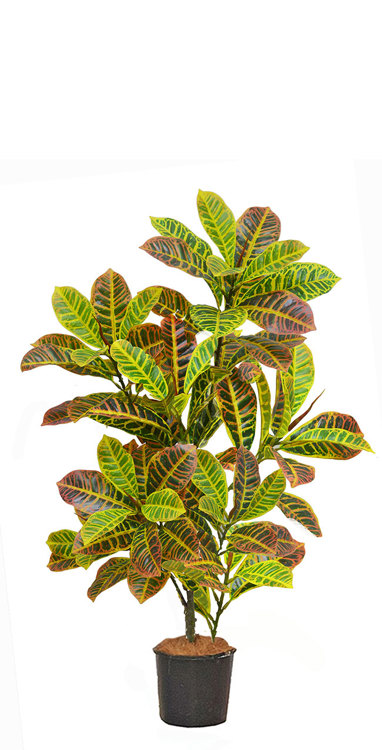 Articial Plants - Croton 90cm