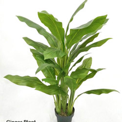 Ginger Plant 1.3m - artificial plants, flowers & trees - image 4