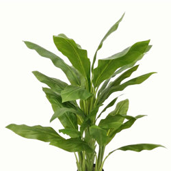Ginger Plant 1.3m - artificial plants, flowers & trees - image 4