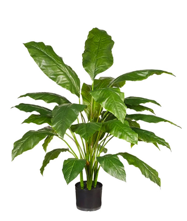 Articial Plants - Lilly Plant [spathiphylum] 90cm