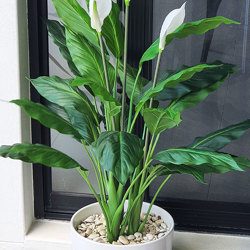Madonna Lilly- 1m x3 flowers - artificial plants, flowers & trees - image 1