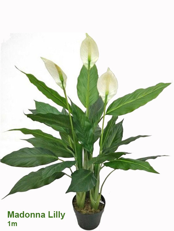 Articial Plants - Madonna Lilly- 1m x3 flowers