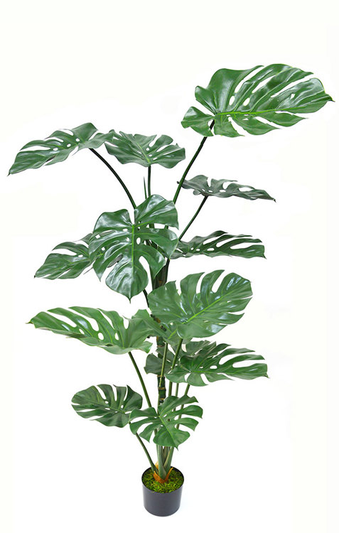 Articial Plants - Monstera 'giant leaf' 1.6m
