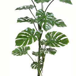 Monstera 'giant leaf' 1.8m - artificial plants, flowers & trees - image 10