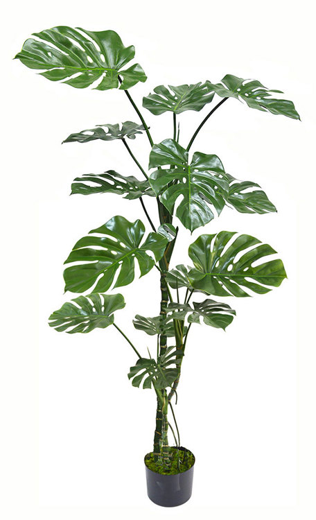 Articial Plants - Monstera 'giant leaf' 1.8m