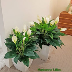 Madonna Lilly- 75cm x 3 flowers - artificial plants, flowers & trees - image 1
