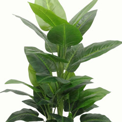 Philodendron 'elephant-ears' 1.3m - artificial plants, flowers & trees - image 9