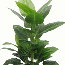 Philodendron 'elephant-ears' 1.3m - artificial plants, flowers & trees - image 6