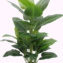 Philodendron 'elephant-ears' 1.3m - artificial plants, flowers & trees - image 8